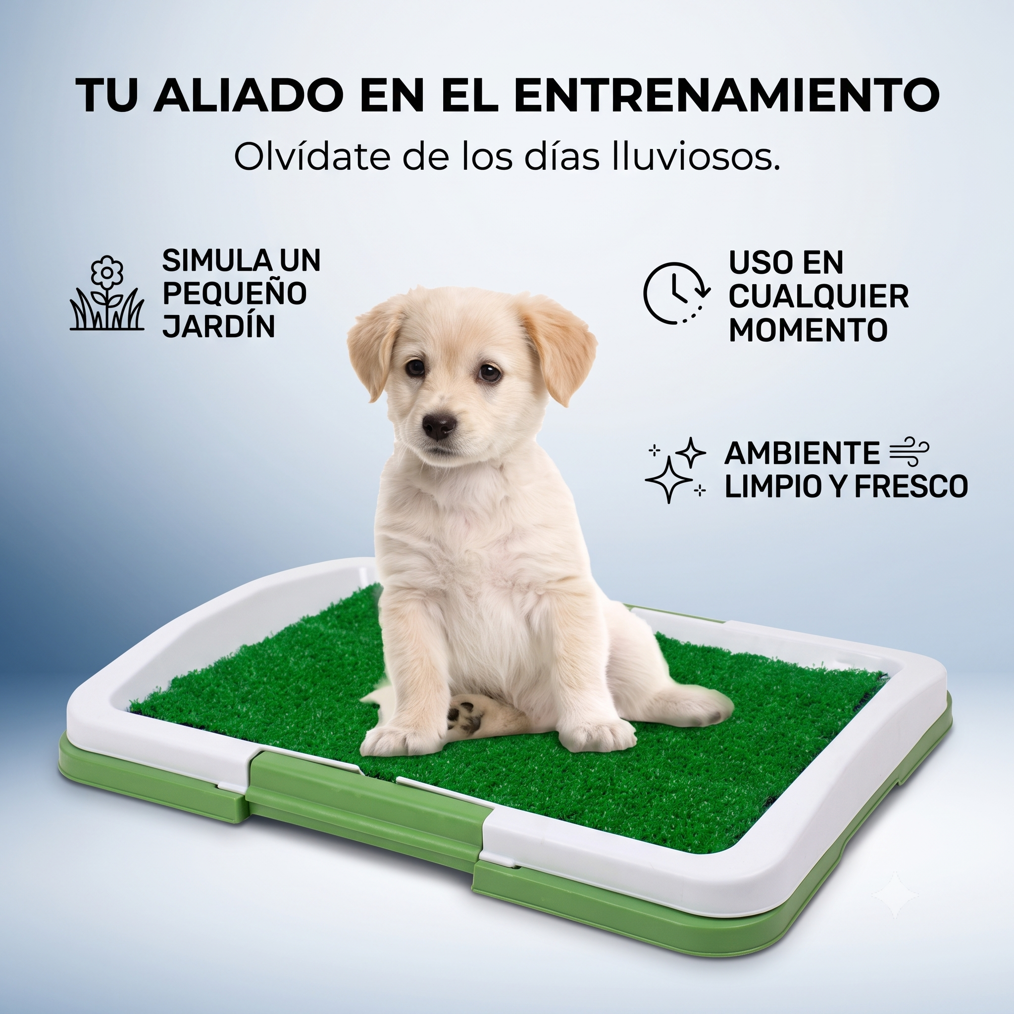 Tapete De Limpieza Para Perros Pequenos