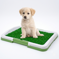 Tapete De Limpieza Para Perros Pequenos