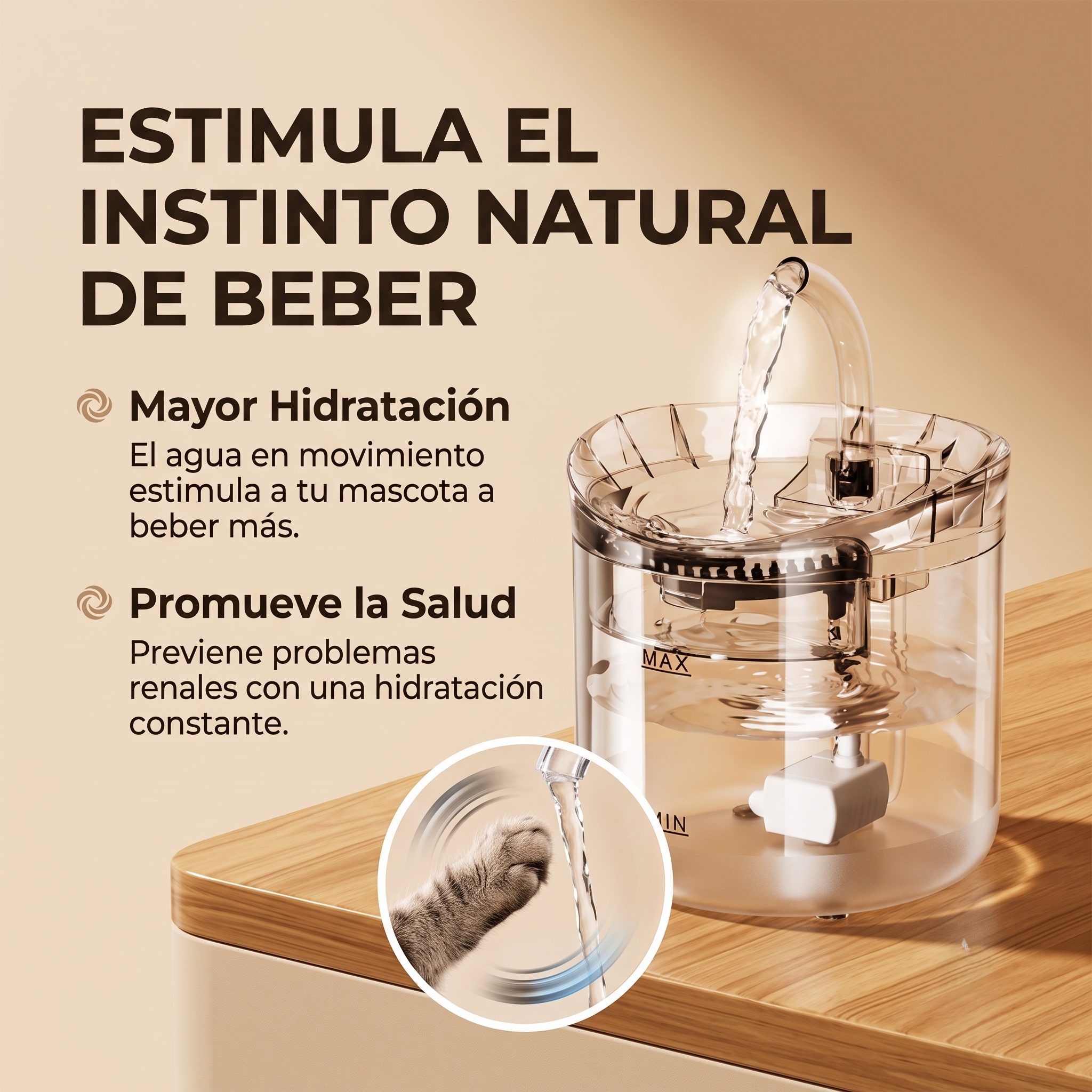 Fuente De Agua Transparente 1.6 L